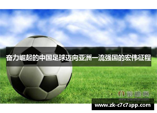 奋力崛起的中国足球迈向亚洲一流强国的宏伟征程