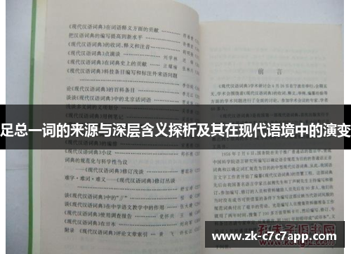 足总一词的来源与深层含义探析及其在现代语境中的演变